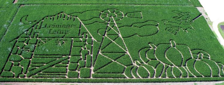 Leininger Farms Corn Maze, Indiana