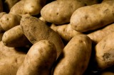 Farm Facts: Potatoes