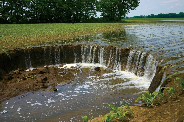 April Showers Bring May Flowers and the Need for Flood