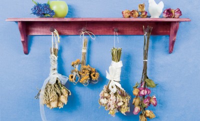 How to dry, preserve fresh flowers