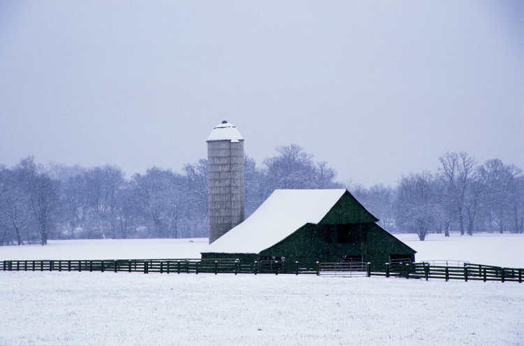 Snow-covered barn and silo