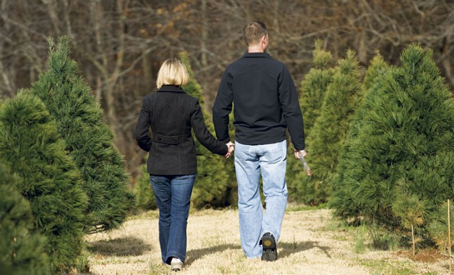 Indiana Christmas Tree Farms