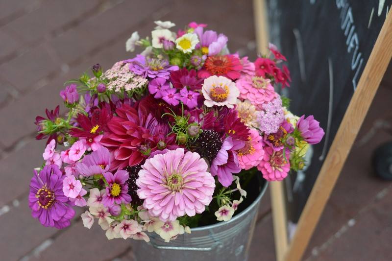 Devils Ridge Flower Farm