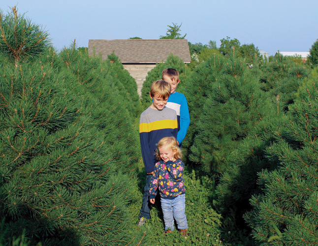 Kids pose for a photo among the Christmas trees at Flickinger Farms