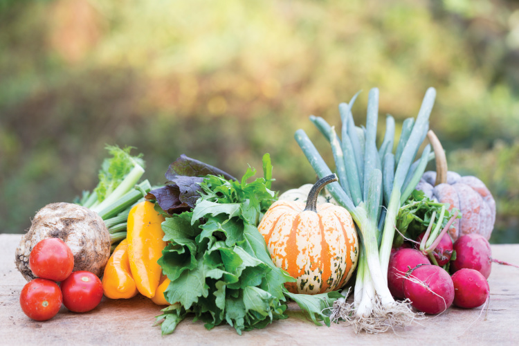 vegetables including a pumpkin