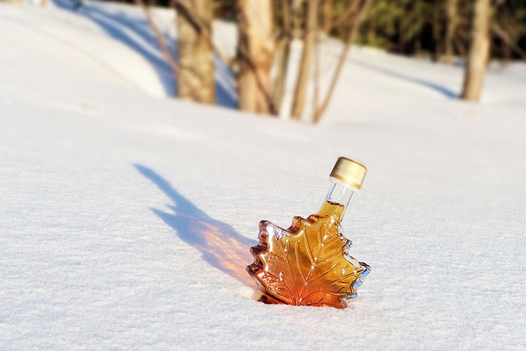 Maple syrup bottle in the snow with trees behind it