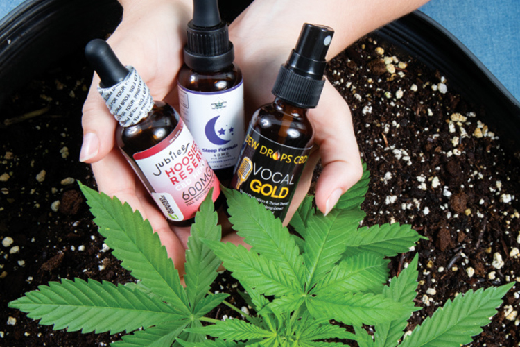 CBD hemp products and hemp plant