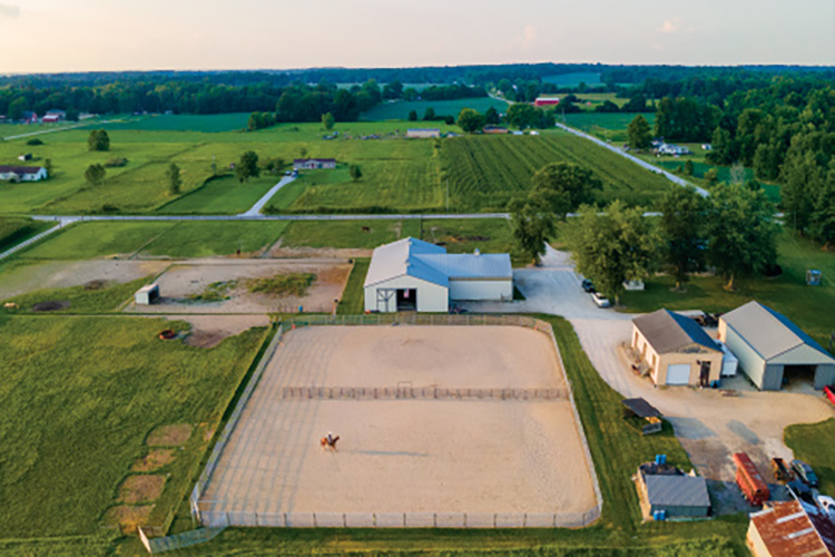 Aerial shot of Friends of Ferdinand