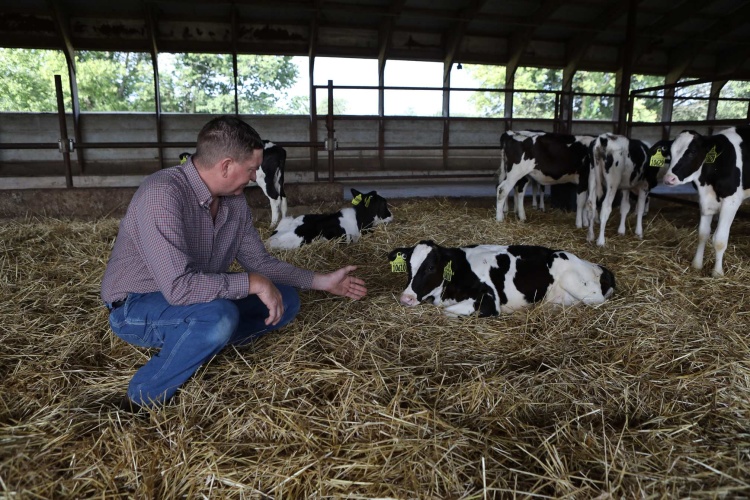 Brian Rexing checks on his calves