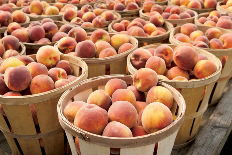 Peaches in baskets