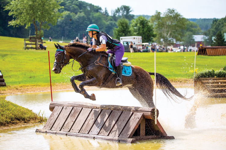 Horse and rider jumping
