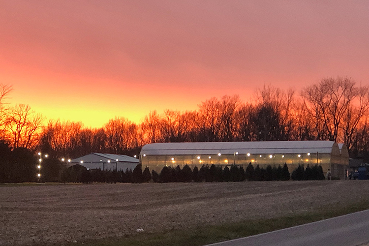 Gatewood Vegetable Farm & Greenhouses at sunset