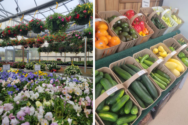 Flowers, fruits and vegetables at Gatewood Vegetable Farm & Greenhouses