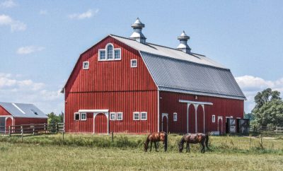 The Farm at Prophetstown barn and horses