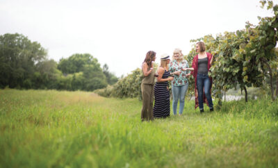 Four women walking among the vines at Anderson's Vineyard with glasses of wine
