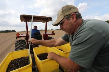 Rob Winks operates a tree seeding machine