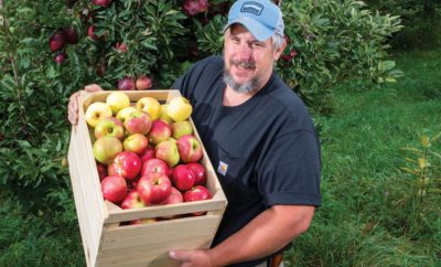 Stroh Orchard owner Troy Eriksen holds a crate of apples
