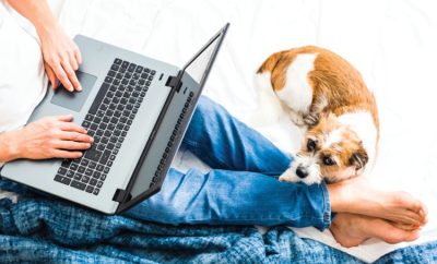 Man on a laptop with a dog laying beside him