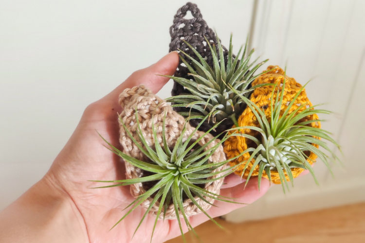 Crochet air plant baskets