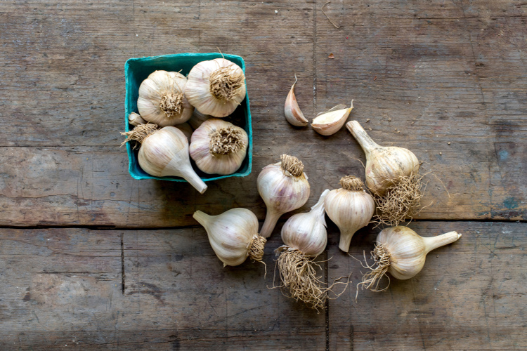 Garlic bulbs and cloves on a wood table