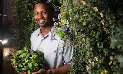 Mario Vitalis, owner and founder of New Age Provisions, holds freshly harvested basil in one of his shipping container gardens