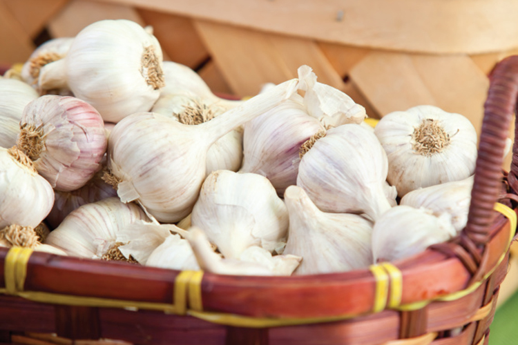 Garlic in a basket at a market