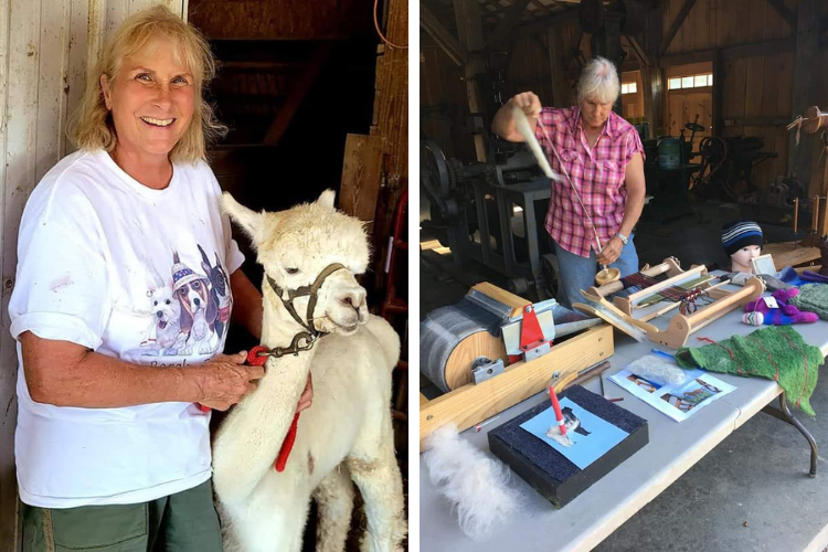 Collage with the photo on the left of Diane, owner of Clifty Creek Alapacas, with one of the alpacas and the right one of her working with wool 