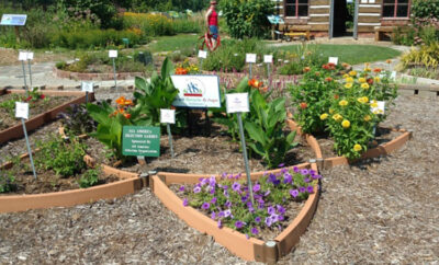 Evansville All-America Selections Display Garden