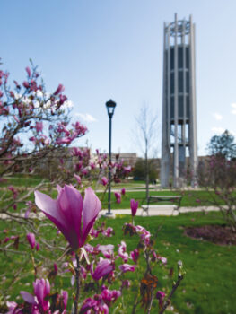 Enjoy a Spring Getaway to Bloomington - My Indiana Home