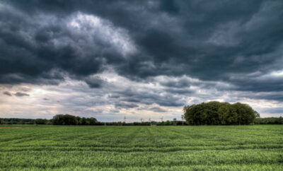 stormy fields