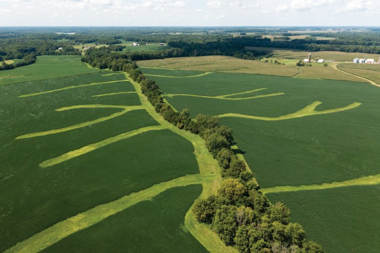 Drone shot of McGaughery Farms