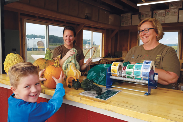 Little boy buying a pumpkin from the patch at Tuttle Orchard 