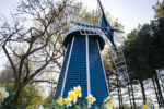 Windmill at Krider "World's Fair" Garden in Middlebury with daffodils blooming in front of it