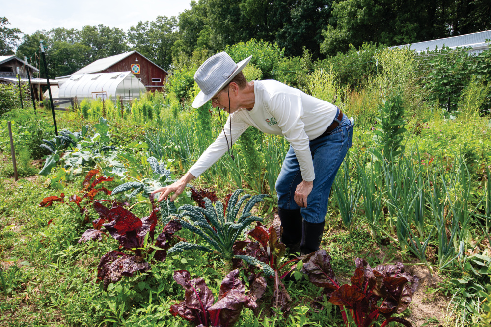 Robert Frew tends to some of the crops at Sobremesa Farm