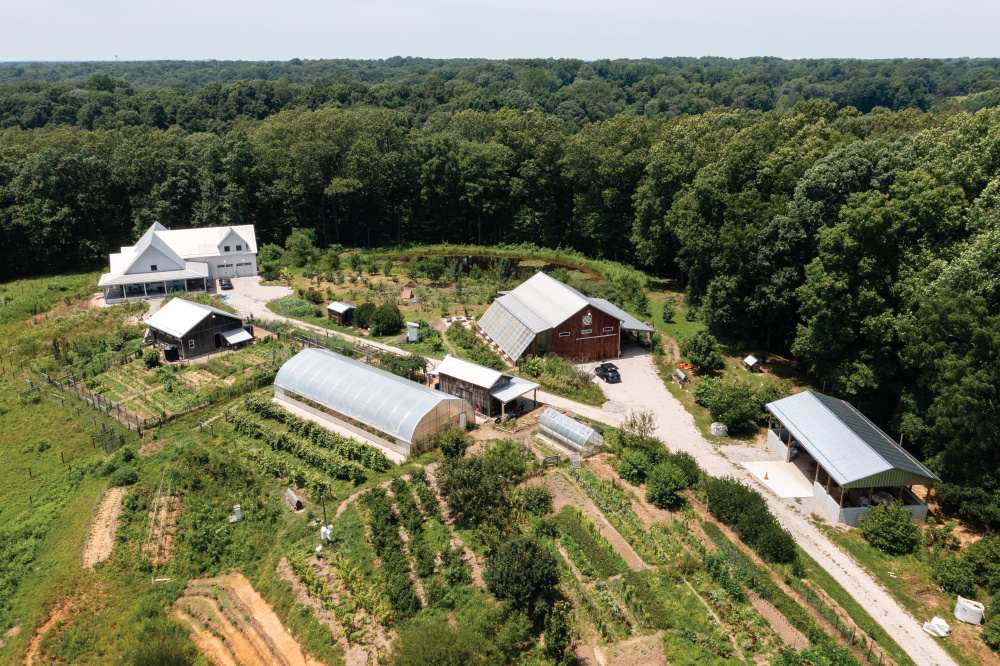 Drone view of Sobremesa Farm