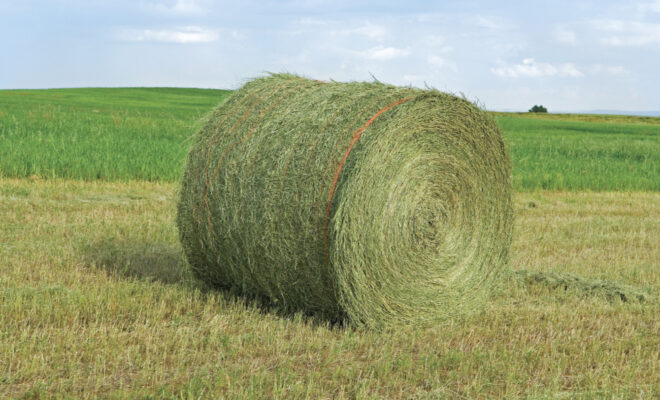 Round haybale
