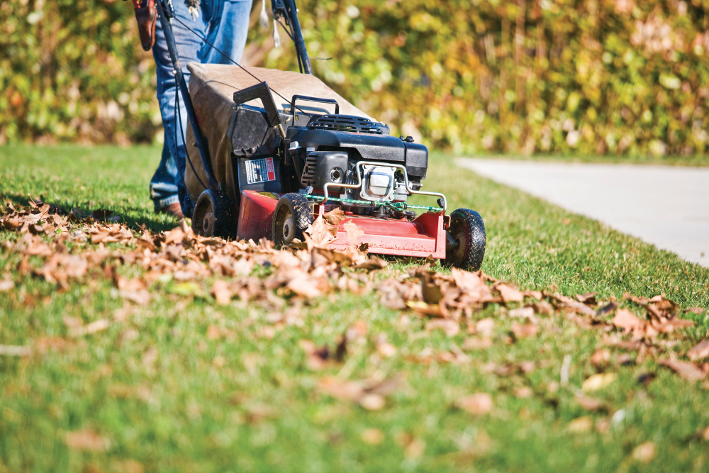 Someone push mowing a yard with leaves in it