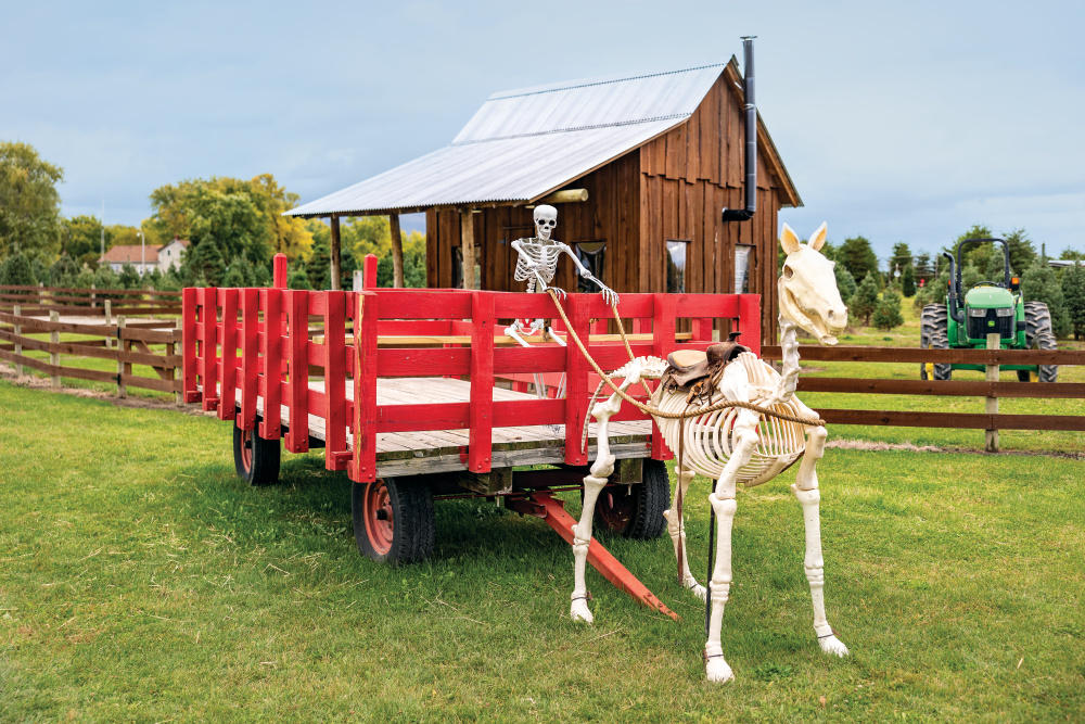 Skeleton horse and skeleton driver on a wagon; Halloween decor at Piney Acres Farm