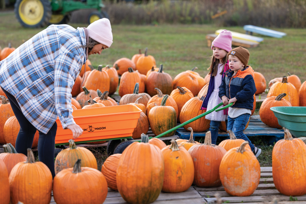 A family picks out pumpkins at Piney Acres Farm