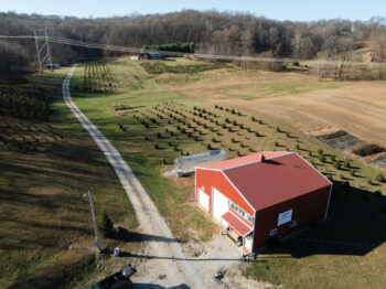 Drone view of the Ratkovich Farm showing the rows of Christmas trees