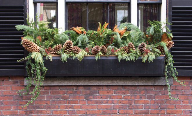 A holiday container decor as a window box with greenery, pine cones and other