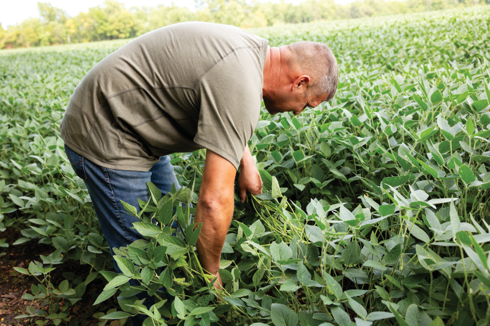 Brent Risner checking on crops at his farm