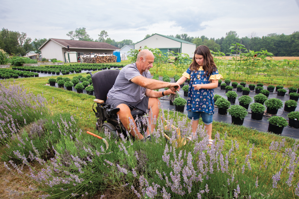 Rich Borkholder and his granddaughter, Madde Webster, picking lavender in the field at Aroma Acres