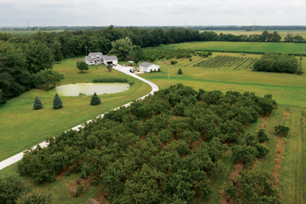 Drone view of Annie's Orchard
