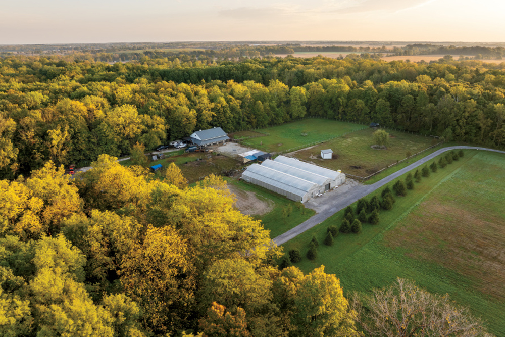Drone view of the hydroponic greenhouse at Watch Us Farm