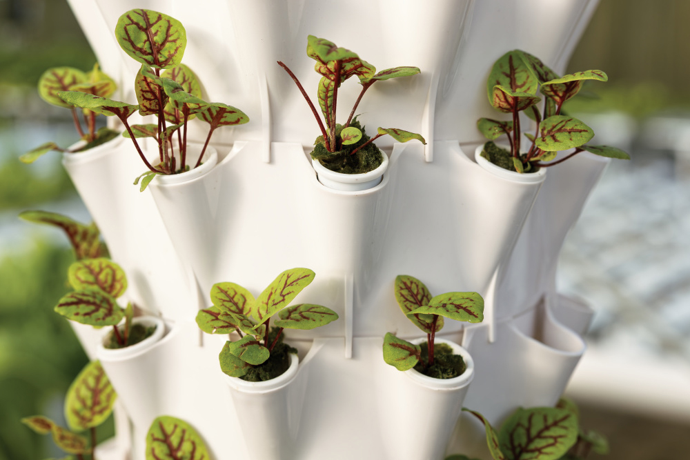 Hydroponic towers at Watch Us Farm