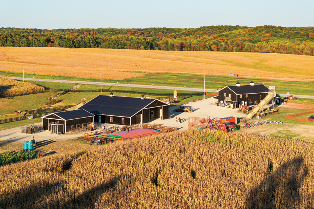 Drone view of Bledsoe Farms