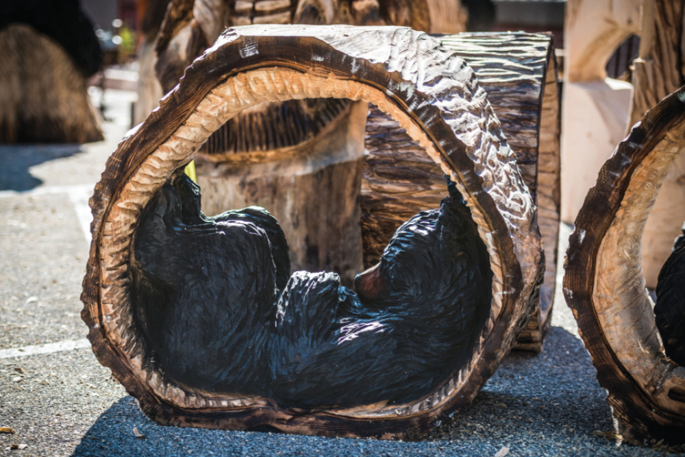 Block Bash wood carving of a black bear curled up inside of a log