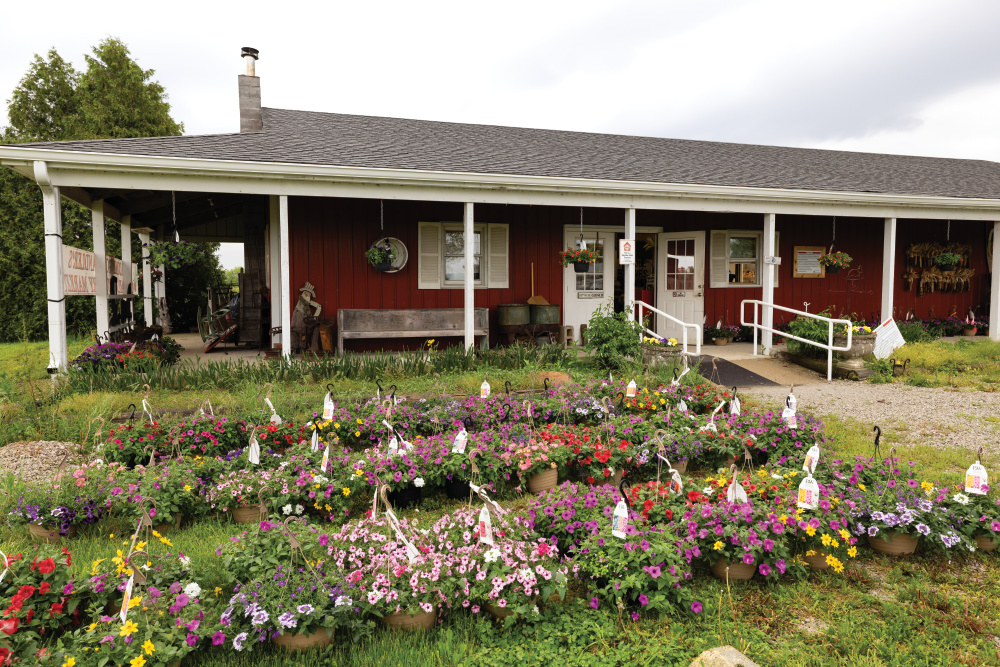 Hanging baskets outside of Chandler's Orchard and Country Market 