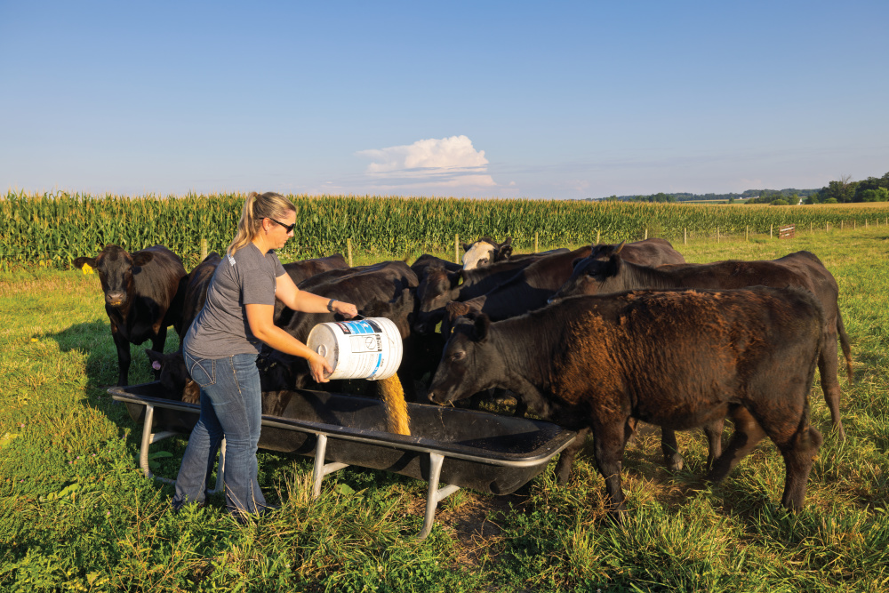 Elizabeth Stonecipher feeding cattle at their family farm